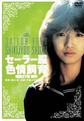 555影视文艺片南方来信